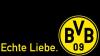 bvb-logo-schwarz