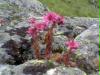 bild025