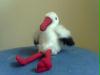 bild070