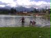 bild079