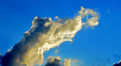 Himmelhund-als-Wolkenbild