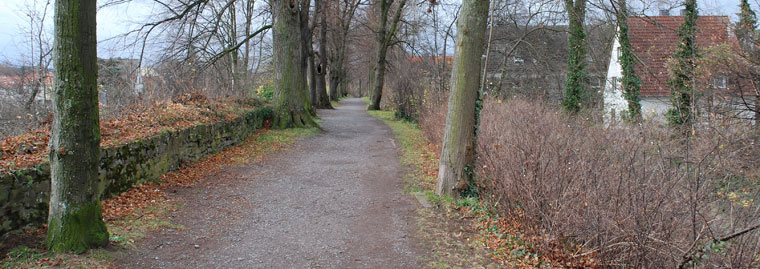 2009-11-Soest 01