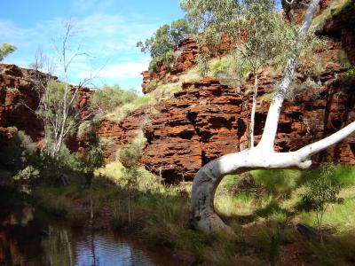 West-Coast-pic217-Karijini-NP-Weano-Gorge