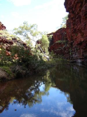 West-Coast-pic219-Karijini-NP-Weano-Gorge