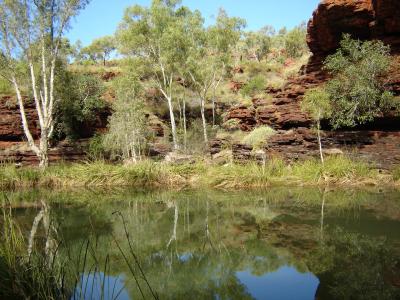 West-Coast-pic259-Karijini-NP-Kalamina-Gorge