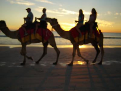 West-Coast-pic339-Broome-Cable-Beach-camel-ride-Elvis-Trina-me