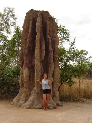 West-Coast-pic438-Litchfield-NP-Cathedral-Termite-Mound-myself