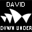 David Down Under (Sydney Opera House)