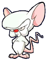 brain
