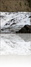 Rocky Mountains, CAN, 2005