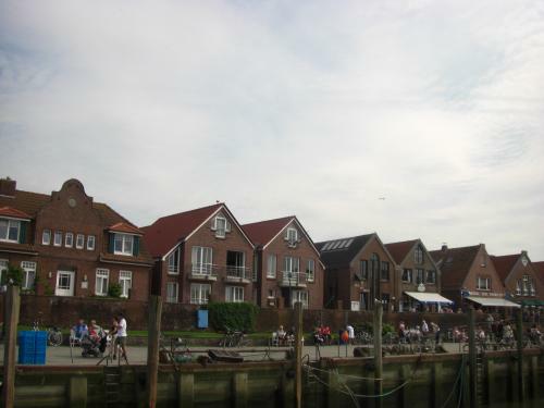 neuharlingersiel-zaubervogel