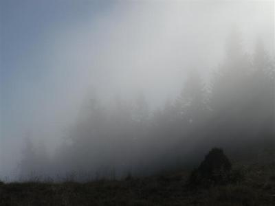 DSC03150-Small-