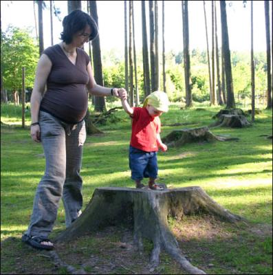324_2433_kleiner