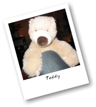 teddy1