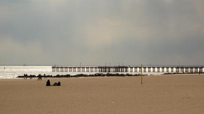 IMG_0881