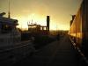 Morgenstimmung-in-Linz