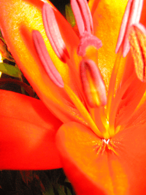 20050625experimentelles-021