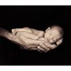 Baby6