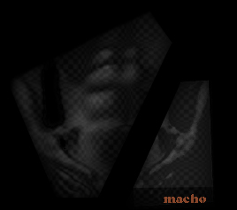 macho_