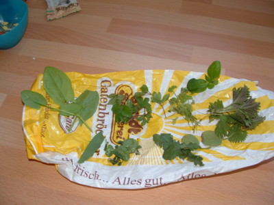 kraut