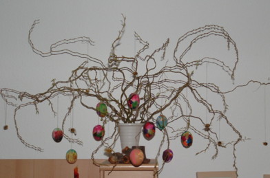 strauch1