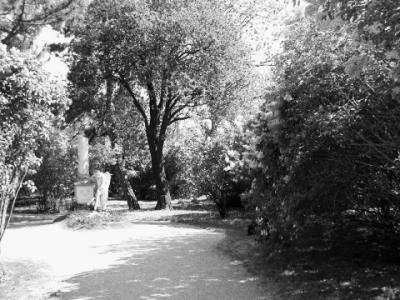 mozartgr1mono