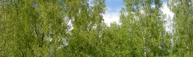 Frühling/Sommer
<br />
Frühling/Sommer
<br />