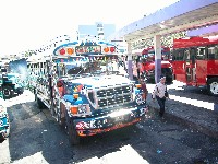 bus