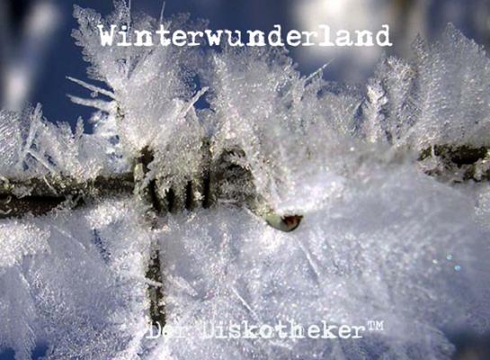winterwunderland