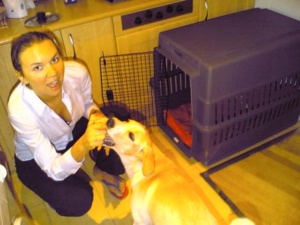 Heidi and her kennel