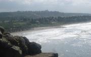 DSC00236