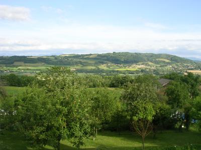 blick-aus-fenster-1