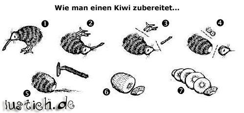 Wie man einen Kiwi zubereitet