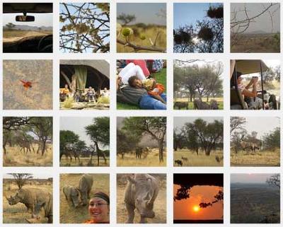 Übersicht über alle Bilder von unserer Safari vom Wochenende