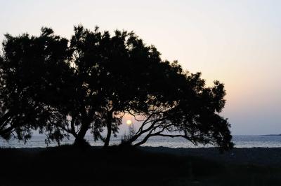 sunrise