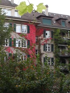 dsc00376