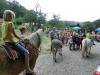 GoeF 2014-3 GoeF 2014-3