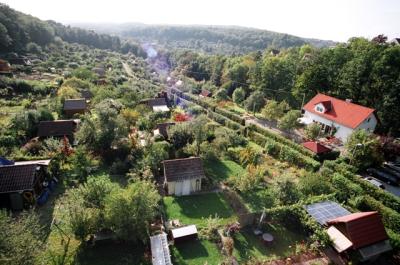 Steigerfoto-Waldbad-070914