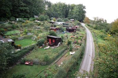 Steigerfoto-Wiesengrund-070914