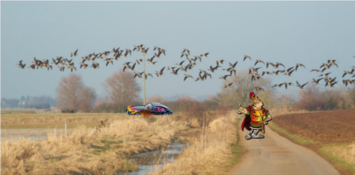 Ob das wohl Nilgänse sind? Da waren die Römer ja zumindest auch mal irgendwann... 