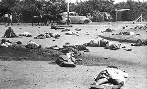 Die Opfer des Massakers