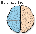 Balanced-Brain