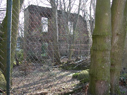 Buscherhof-Ruine