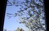 2008-03-05-Wetter-in-Koelle