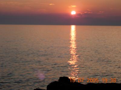 Bild-135
