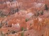 Bryce Canyon