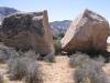 Joshua Tree NP