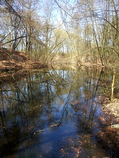 Bruecke_im_Park