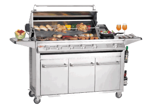 BBQ_6B-20SL4000S_transparent_480