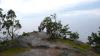 Lighthouse-Park